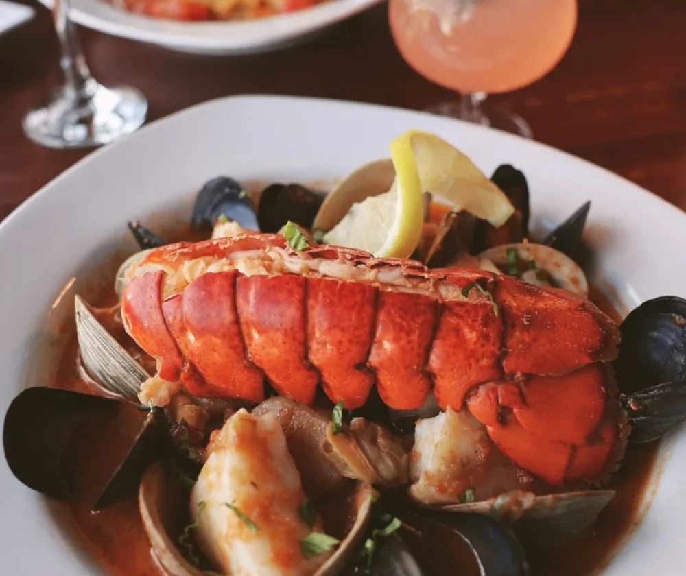Lobster tail over clams and mussels in a seafood stew